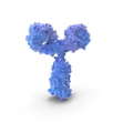AffiAb Affinity Antibodies